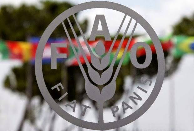 La France présente une candidate à la direction de la FAO