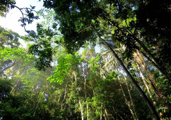 América Latina, región "negra" para ambientalistas