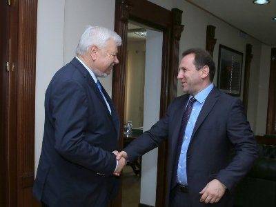 Armenian defense minister meets with OSCE diplomat