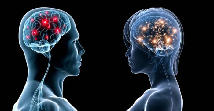 Cerveau : les éclairs de génie livrent leurs secrets