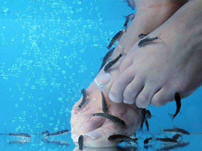 Une femme perd ses ongles après une pédicure avec des poissons