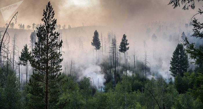 Más de 100 incendios forestales afectan unas 85.000 hectáreas en Rusia