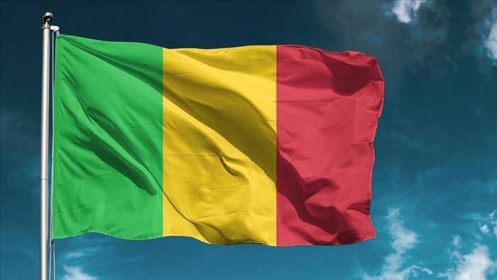 Mali/Présidentielle : validation de 17 candidatures