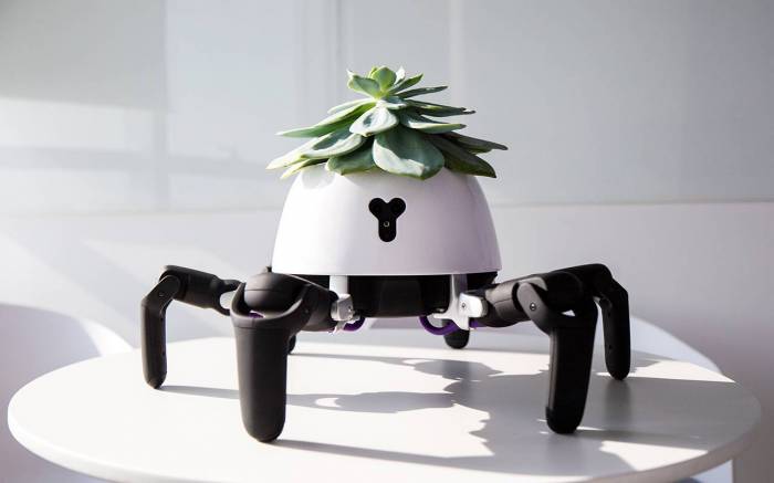 Ce petit robot ambulant protège une plante posée sur son dos