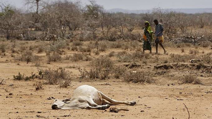 Klimasystem könnte in eine Heißzeit kippen