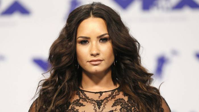 Demi Lovato releases first statement after suspected drug overdose