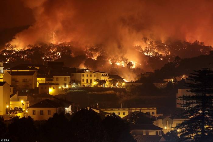 More than 1,100 firefighters mobilise to tackle wildfires in Portugal