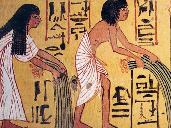 Cheese discovered in ancient Egyptian tomb may be world’s oldest