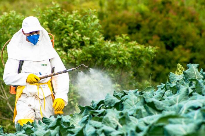 Un pesticide tristement connu vient d’être lié au risque de développer l’autisme chez les enfants
