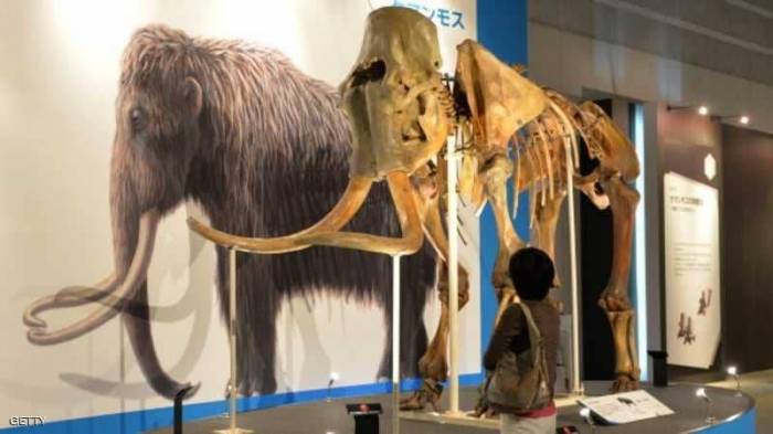 الخيال العلمي يتحول واقعا.. "حديقة ديناصورات" في روسيا