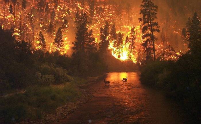 Les feux de forêt menacent un parc naturel espagnol