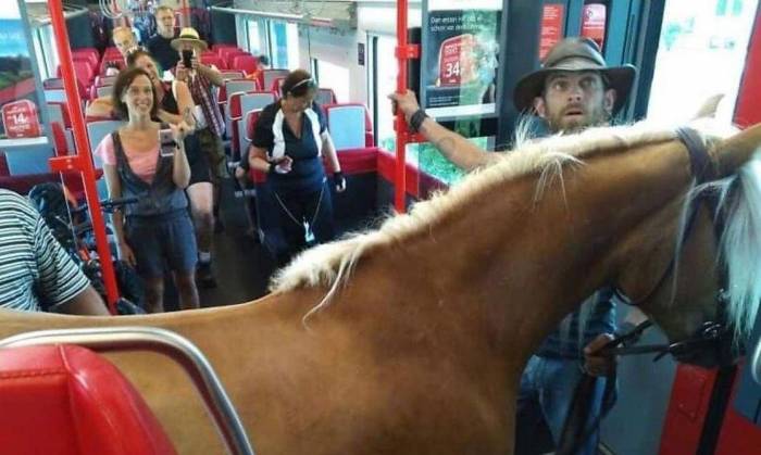 Autriche : il monte dans le train avec un cheval