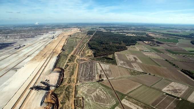 Aktivistin im Hambacher Forst verletzt