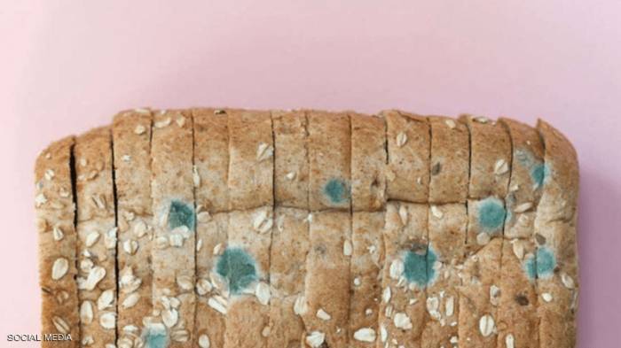 مفاجأة "الخبز المتعفن".. ماذا يحدث لجسمك إذا تناولته؟