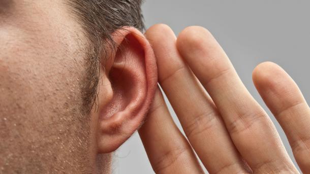Se descubren nuevas neuronas en el oído interior