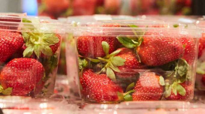 Australia searches for culprit hiding sewing needles in strawberries