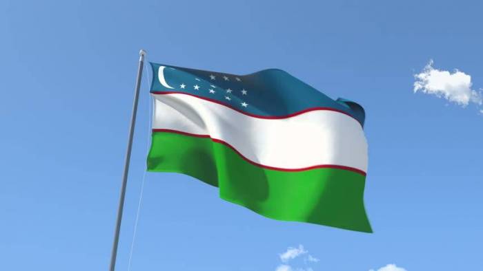 Uzbekistan may join Turkic Council