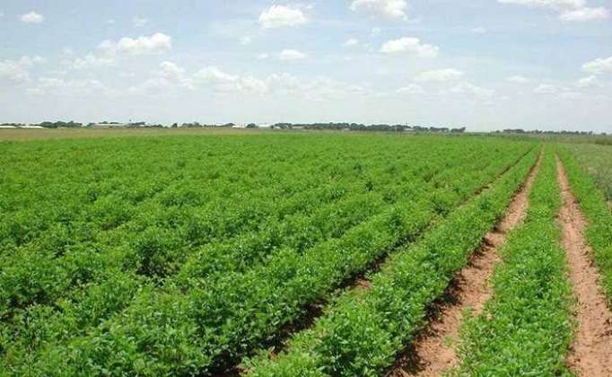 Azerbaijani farmers to get new opportunities for sale of products