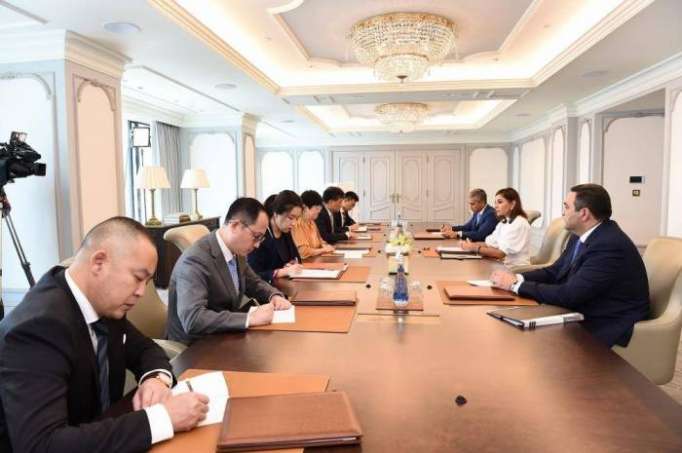 Azerbaijani First VP Mehriban Aliyeva meets Chinese delegation