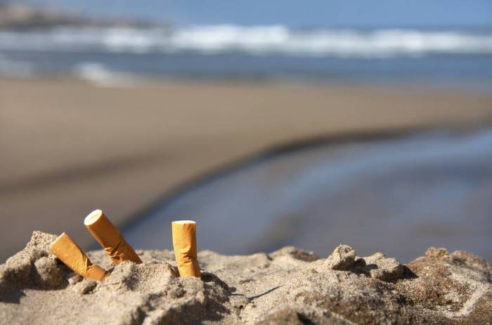 Les mégots de cigarettes polluent plus les océans que le plastique