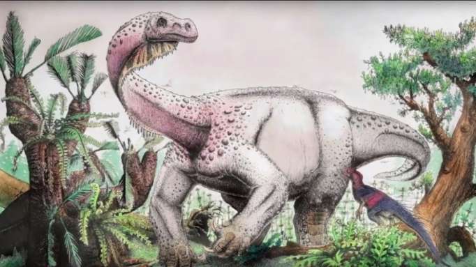 El más grande del Jurásico: científicos identifican a un 