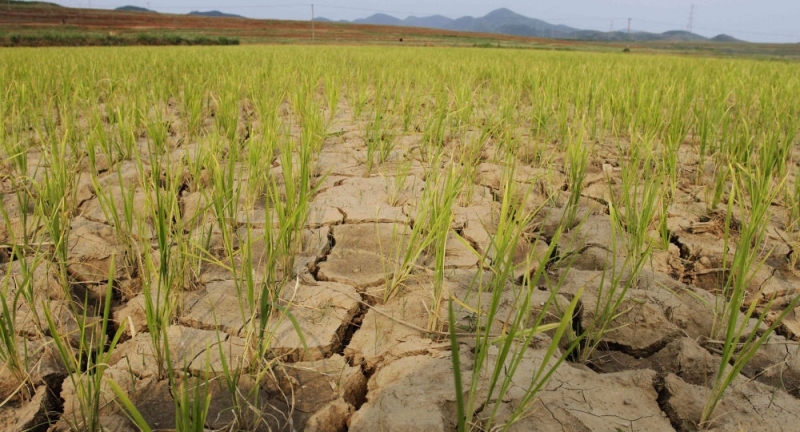 La science prédit l’arrivée de sécheresses catastrophiques