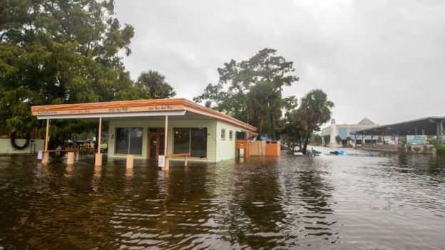 Hurricane Michael: Category four storm lashes Florida coast