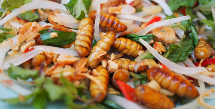 Would you eat insects to save the planet from global warming? - OPINION
