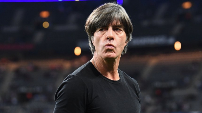 Löw gibt Löw auf