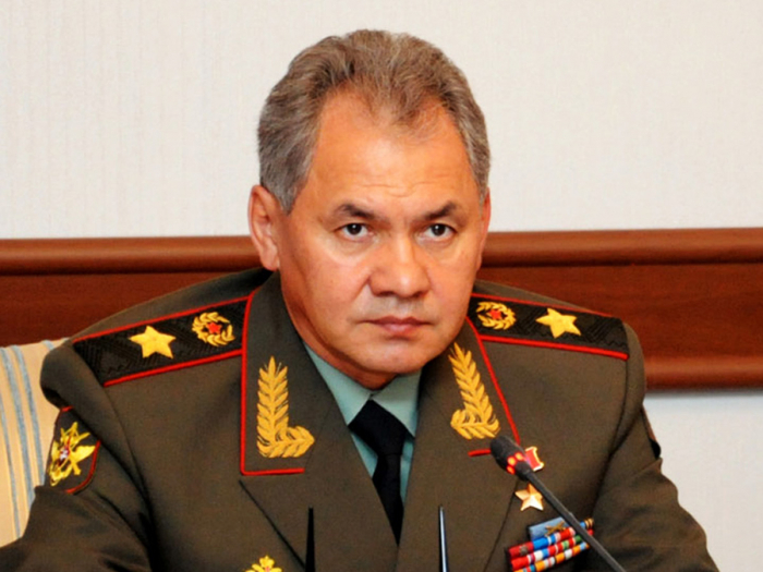 Shoigu says Russian forces delivered strikes at 122,00 terrorist facilities in Syria