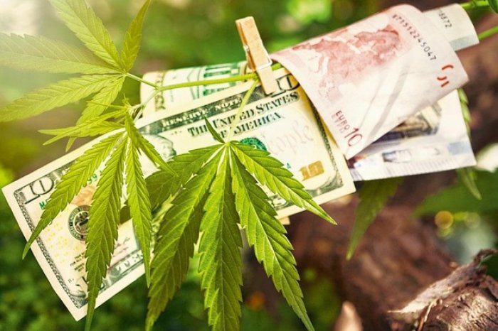 Cannabis: Washington ne veut pas de vendeurs canadiens sur son sol