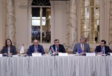 Draft National Action Plan on Prevention and Response to Gender-biased Sex Selection presented in Baku