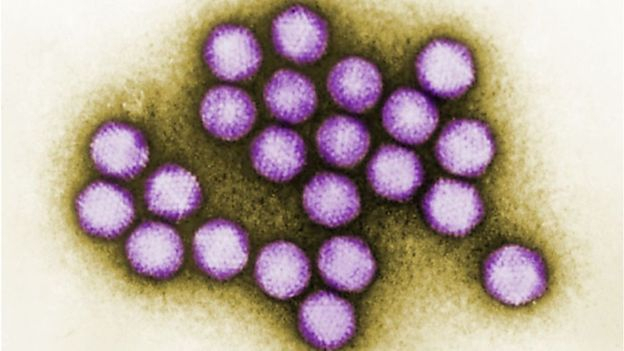Six children dead in virus outbreak at US health centre