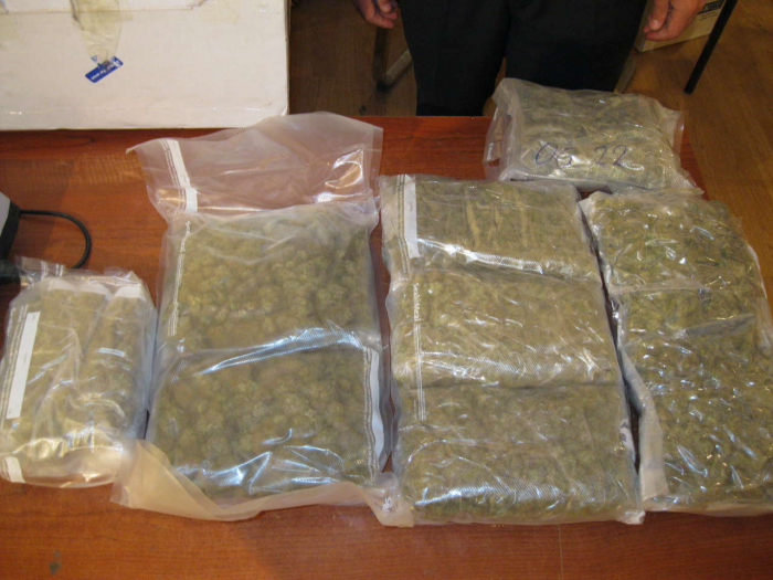 Interpol seizes 500 tons of illicit drugs in worldwide raids