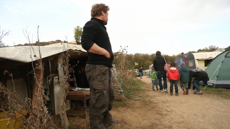 Gericht stoppt vorläufig Rodung im Hambacher Forst