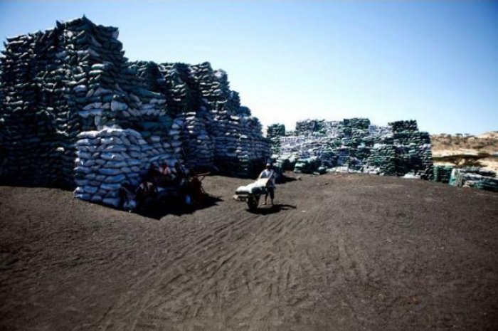 Trafic illicite de charbon somalien via l