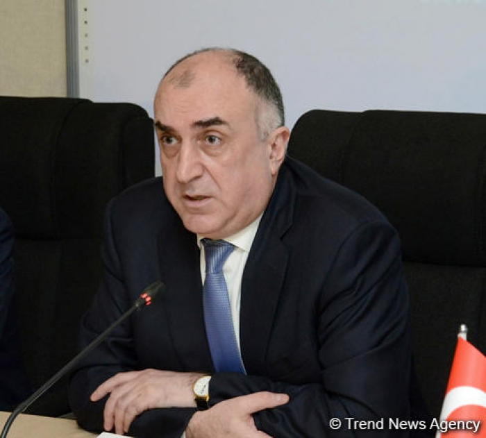 Azerbaijani FM meets with French co-chair of OSCE MG