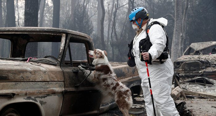 Death toll in Northern California wildfires rises to 84 - Authorities