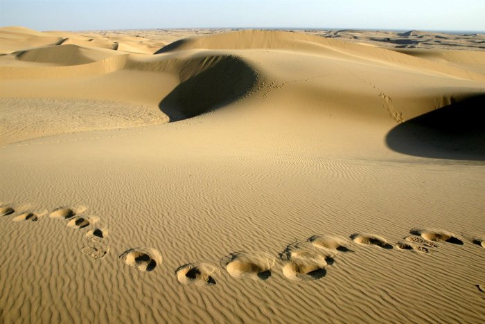 Would flooding the deserts help stop global warming?