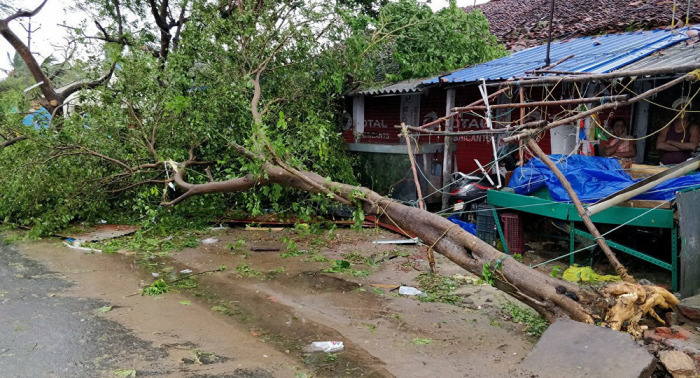 Aumenta a 33 el número de muertos por el ciclón Gaja en el sur de la India