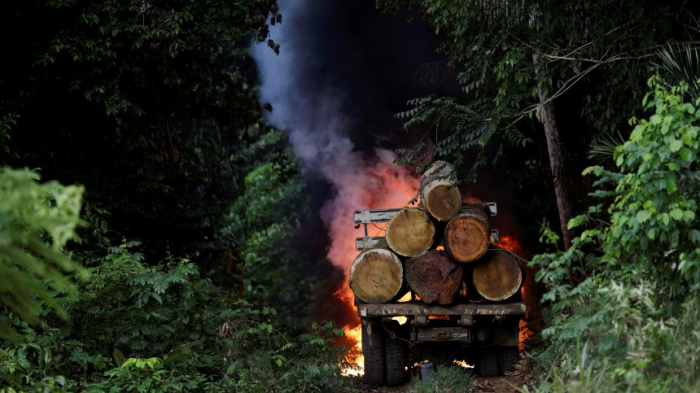 Brasilien gibt riesigen Naturpark für Bergbau frei