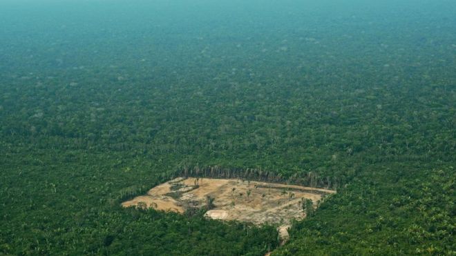 Amazon rainforest deforestation 
