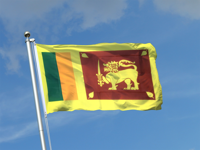 Sri Lanka : le Parlement vote une motion de censure contre le premier ministre