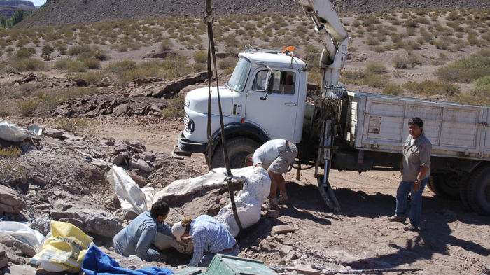 New giant dinosaur species unearthed in Argentina