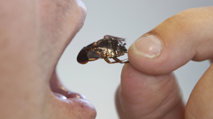 Drink urine, eat cockroaches: Chinese company