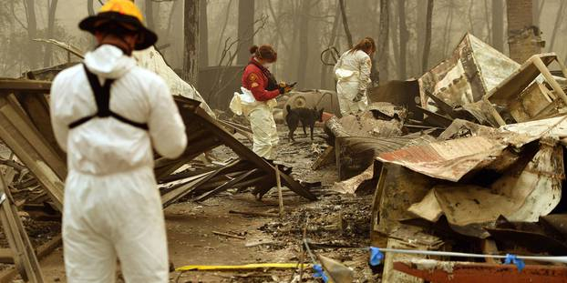 Californie : les incendies font toujours rage, au moins 59 victimes