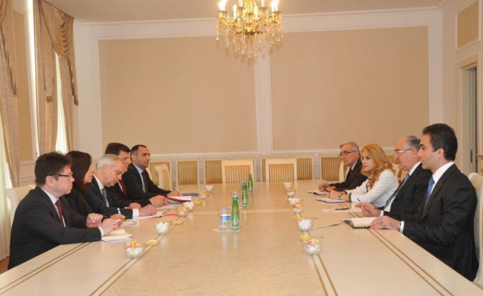 Chairman of Supreme Court met COE delegation