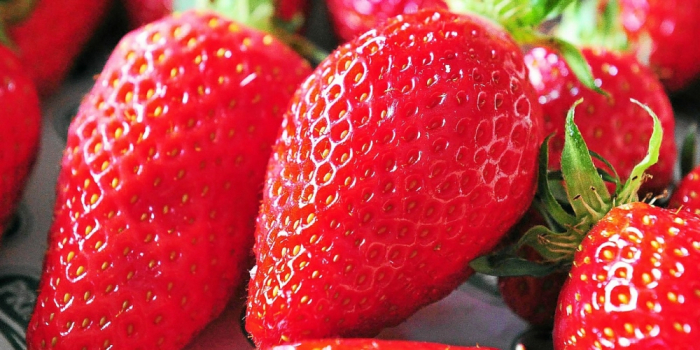 Fraises piégées: une aiguille découverte dans un fruit en Nouvelle-Zélande