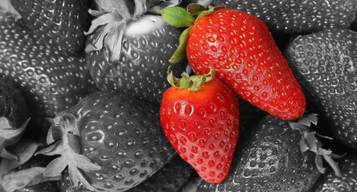 Conceden libertad bajo fianza a la supuesta contaminadora de fresas en Australia