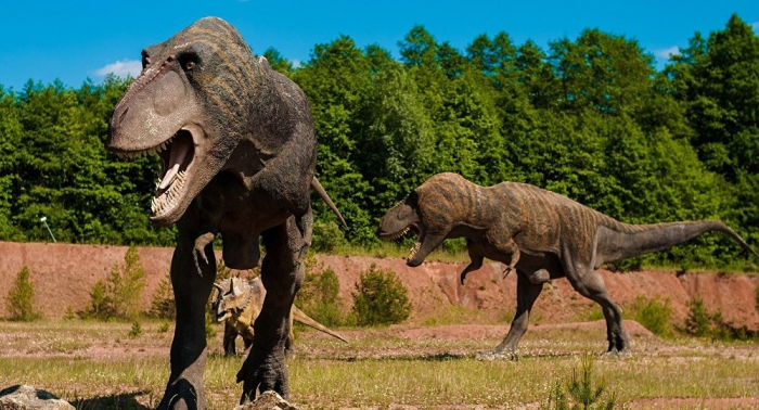 Descubren un fósil que cambia la historia de los mamíferos